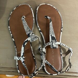 women’s kelly and katie sandals